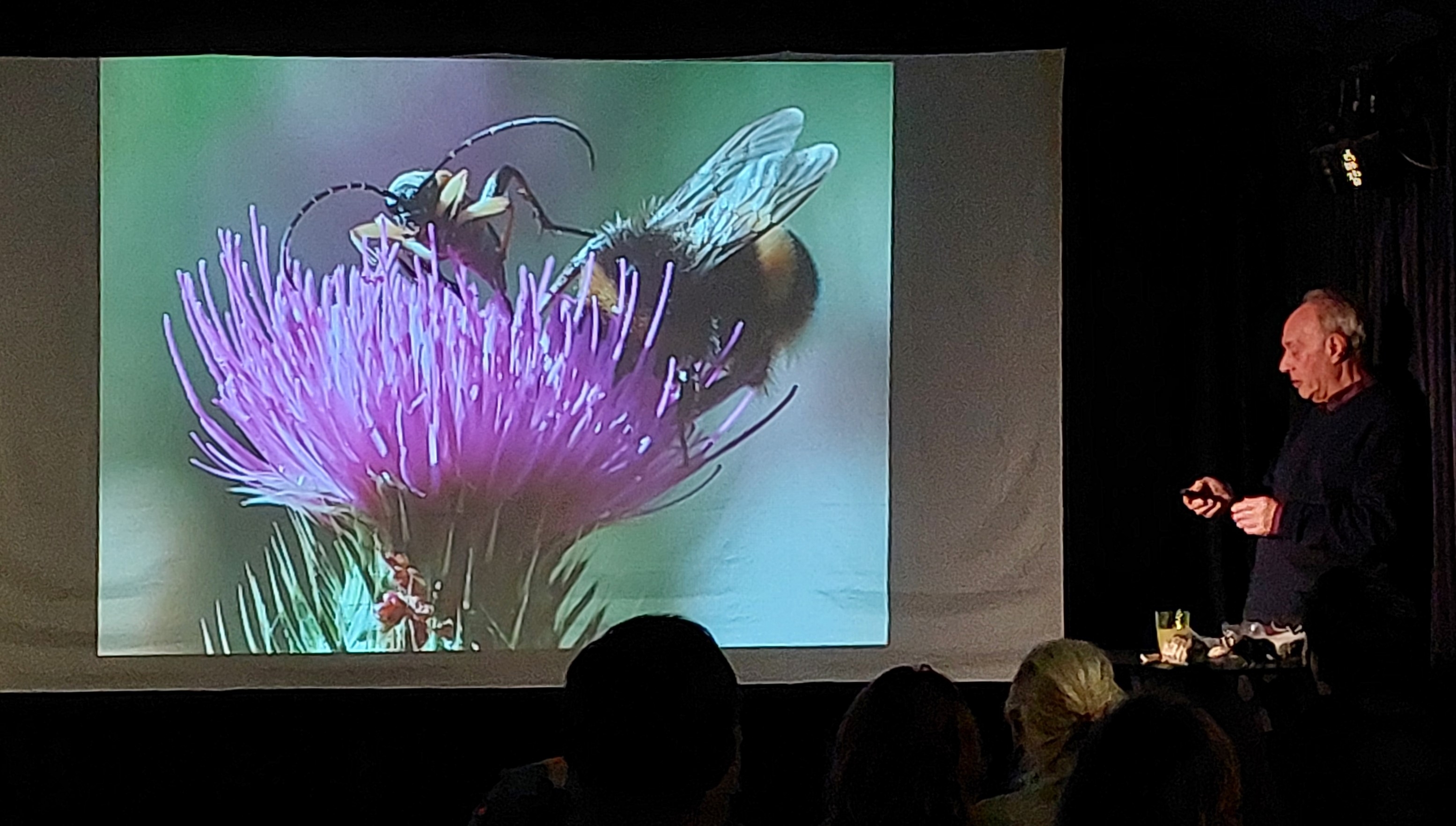 Nigel Phillips with Bee